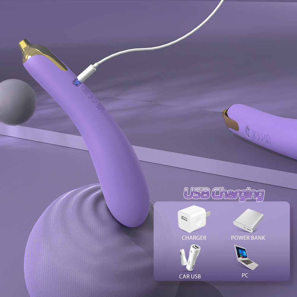 G-spot A-spot Dual-function Massager Eggplant Sharp Silicone Intimate Product First Toy